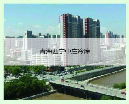 青海西寧中莊案例